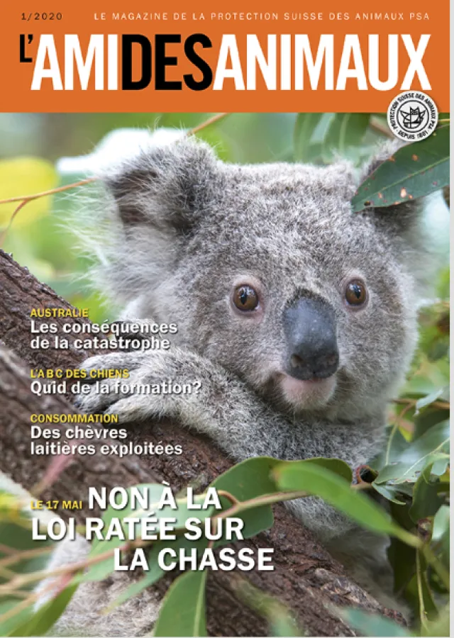 La PSA met fin au magazine L’Ami des Animaux